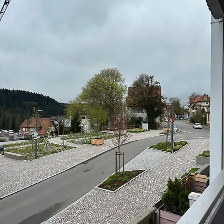 Schwarzwald Lejlighed Freudenstadt